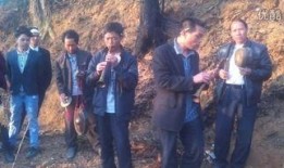 特区爱奴在线观看酷,在线观看，揭秘都市情感纠葛