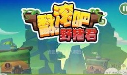 野猪手机在线观看,揭秘野性魅力，畅享视听盛宴